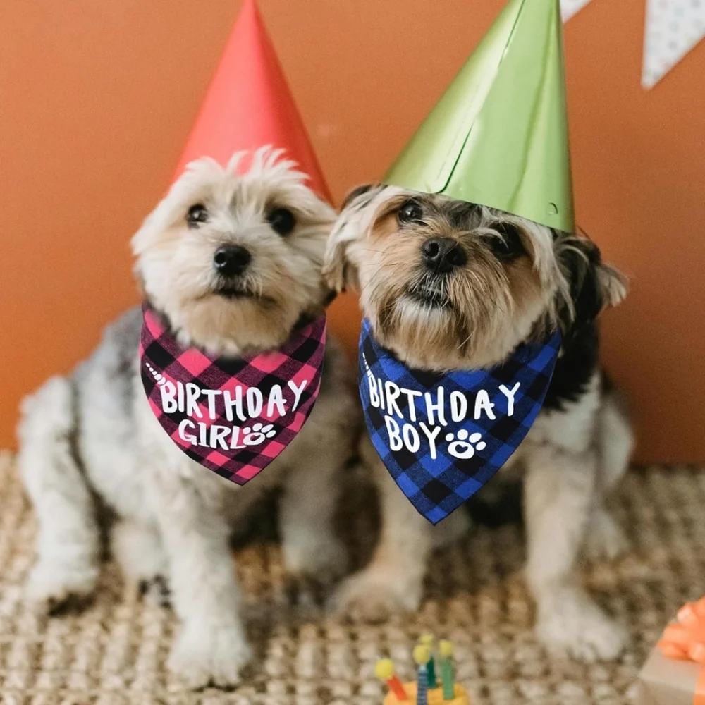 Dog Birthday Party Supplies (X-Large Pink)  Bandana, Bow NWT